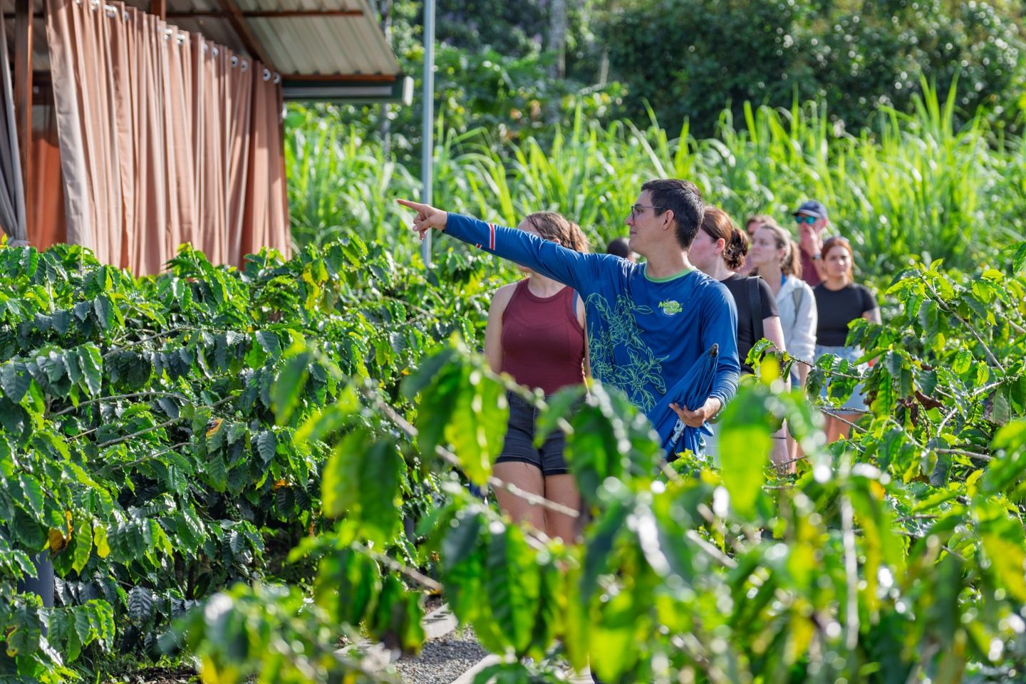 northfields-la-fortuna