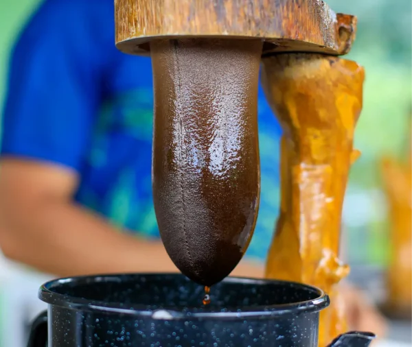 Tour de Café y Chocolate en La Fortuna