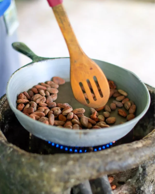 Tour de café y chocolate en los campos del norte de Costa Rica
