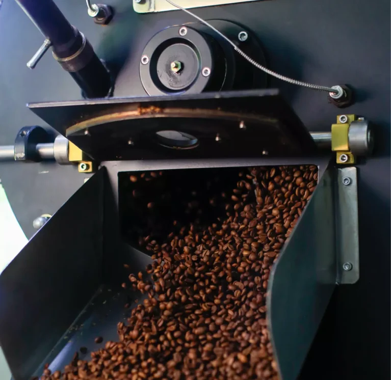 La Fortuna North Fields Coffee and Chocolate Tour in Costa Rica