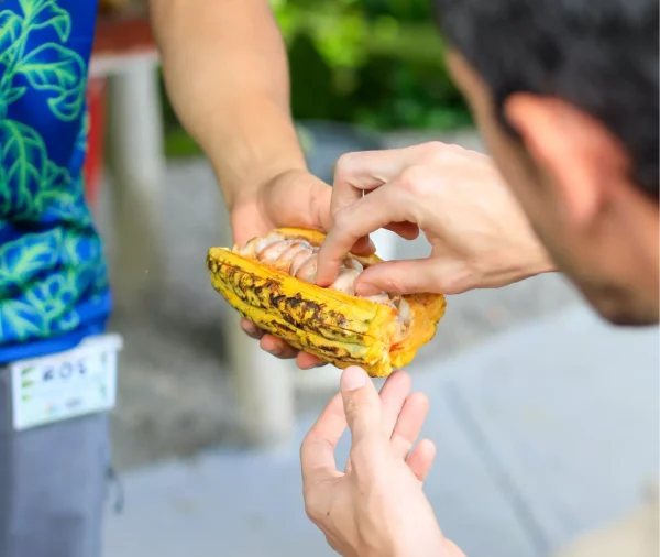 North Fields Coffee and Chocolate Experience in Costa Rica