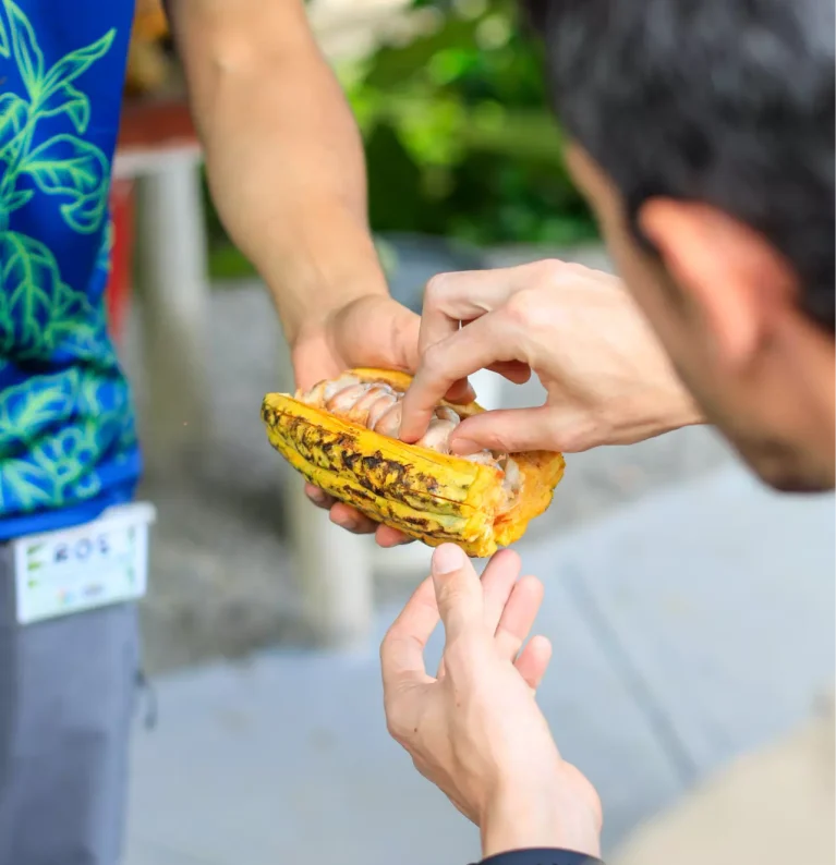 North Fields Coffee and Chocolate Experience in Costa Rica