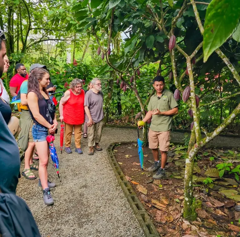 sloth-chocolate-tour